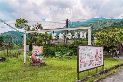 賴家兄弟地瓜田|汪汪地瓜園